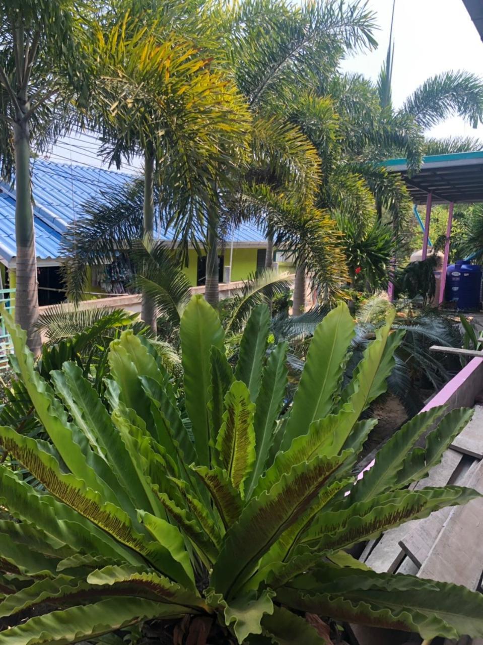 Bann Pa Su Otel Ko Lan Dış mekan fotoğraf